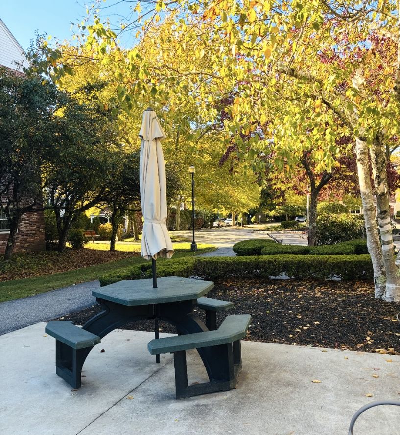 Picnic Table Area