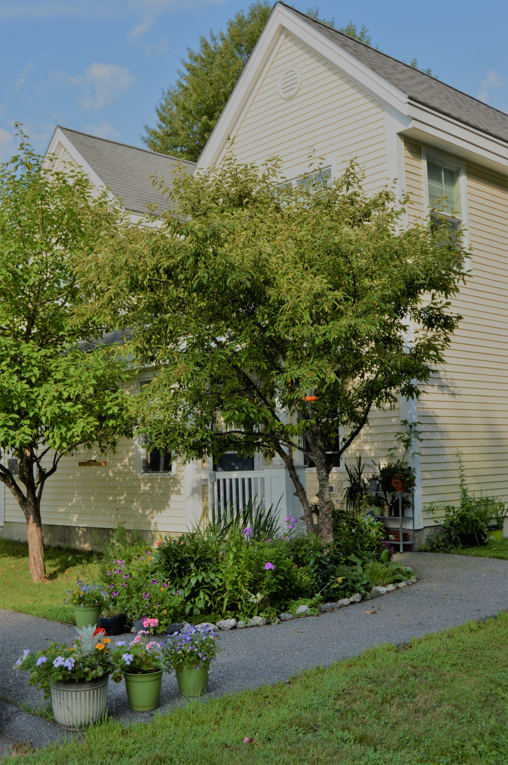 Varney Square Apartments